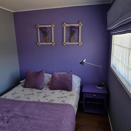 Lavanda Del Valle Vicuña Eksteriør bilde