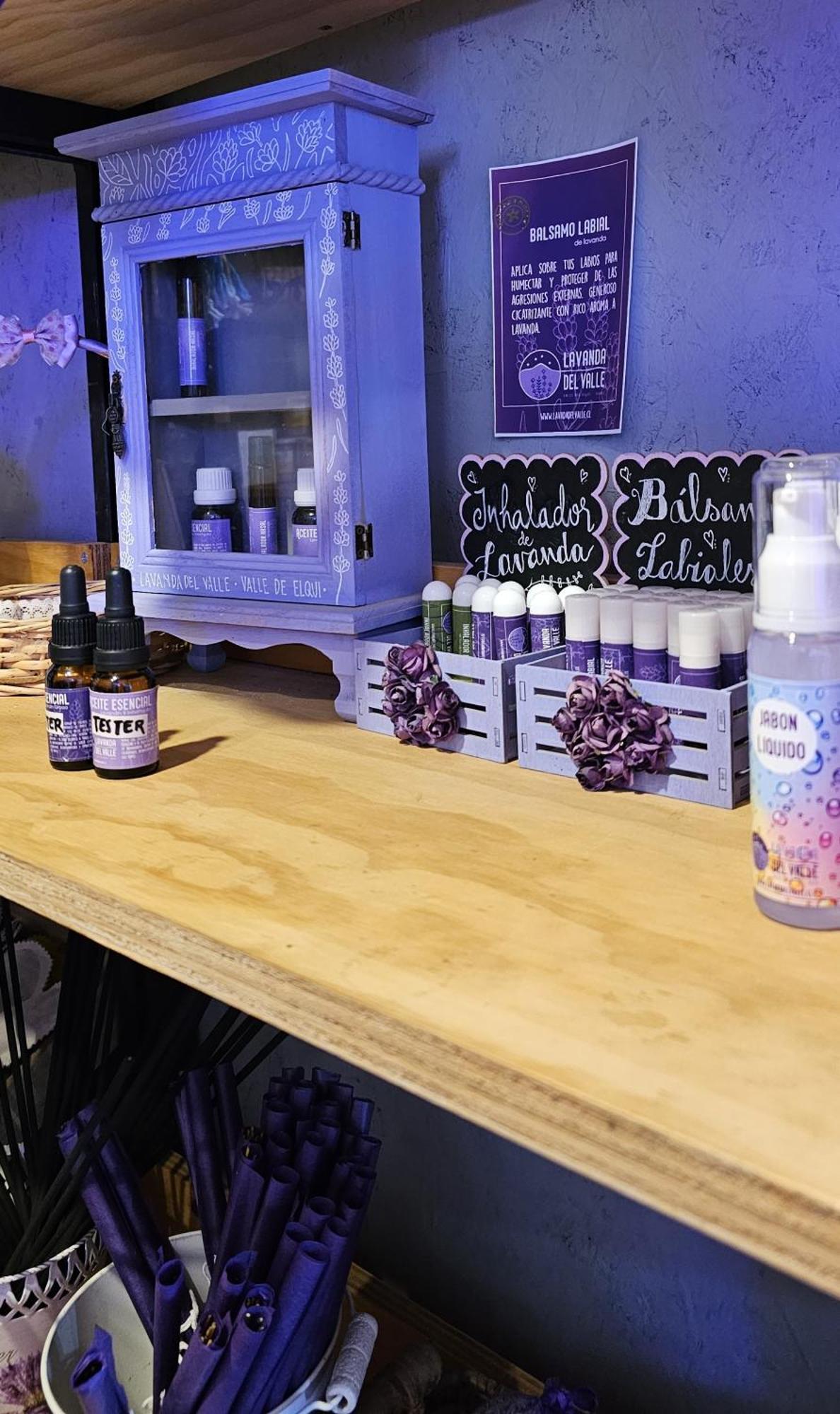 Lavanda Del Valle Vicuña Eksteriør bilde