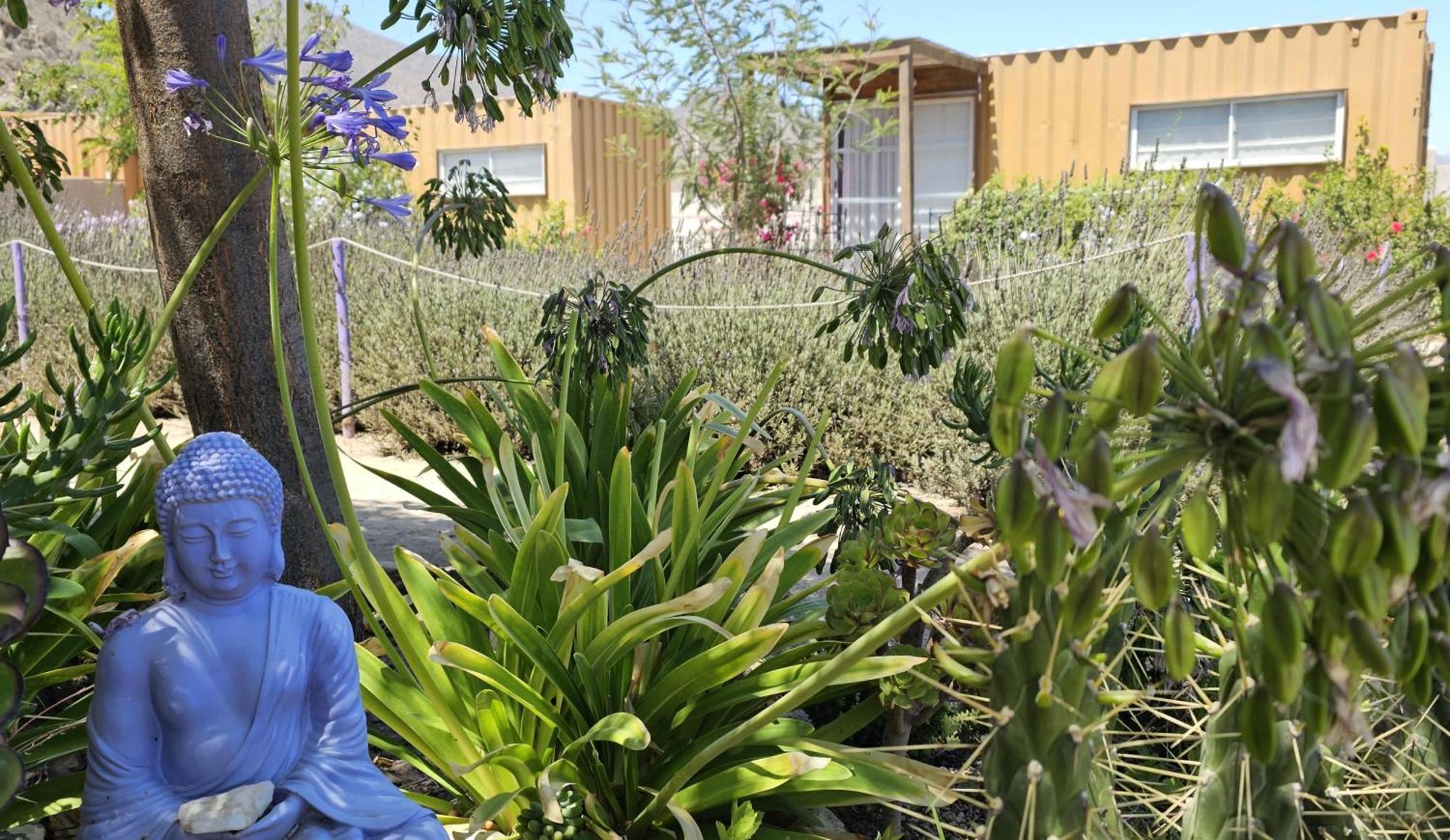 Lavanda Del Valle Vicuña Eksteriør bilde
